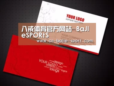 项目名称一