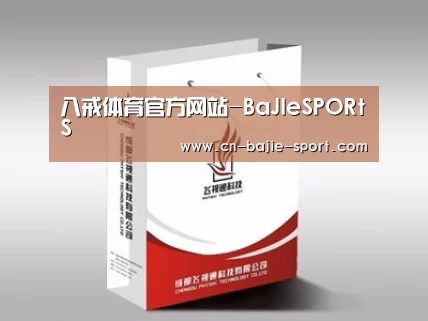 项目名称十三