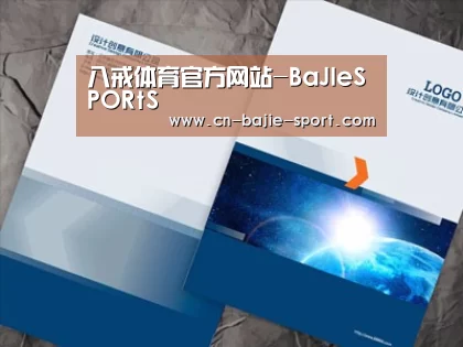 项目名称十